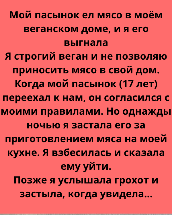 Мой пасынок ел мясо в моём веганском доме, и я его выгнала