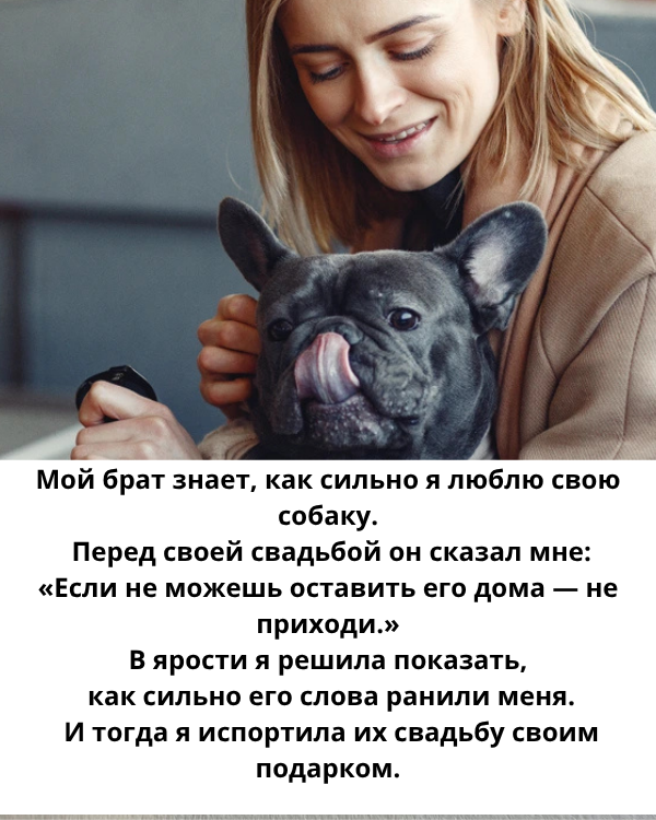 Меня исключили со свадьбы брата из-за моей собаки, и я решила отомстить