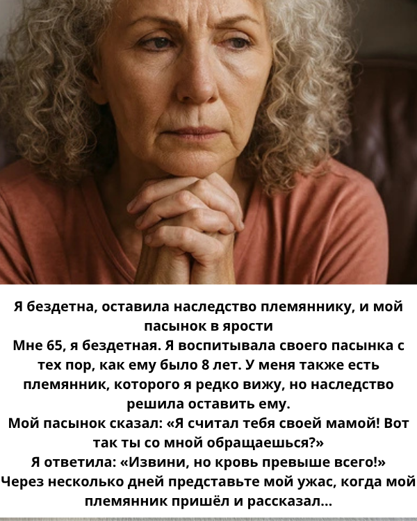 Я бездетна, оставила наследство племяннику — и мой пасынок в ярости