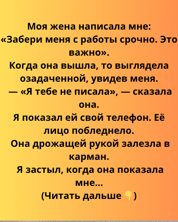Загадочное сообщение, которое изменило нашу жизнь